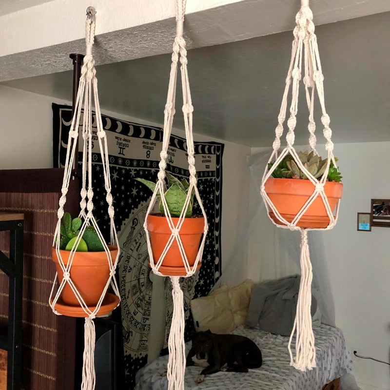 Macrame Plant Hanger