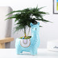 Alpaca Planter