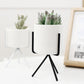 White Planter with Stand